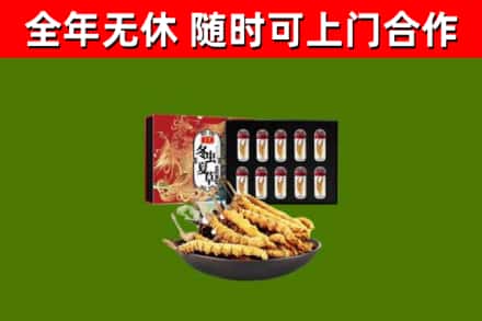 潞城回收冬虫夏草价格